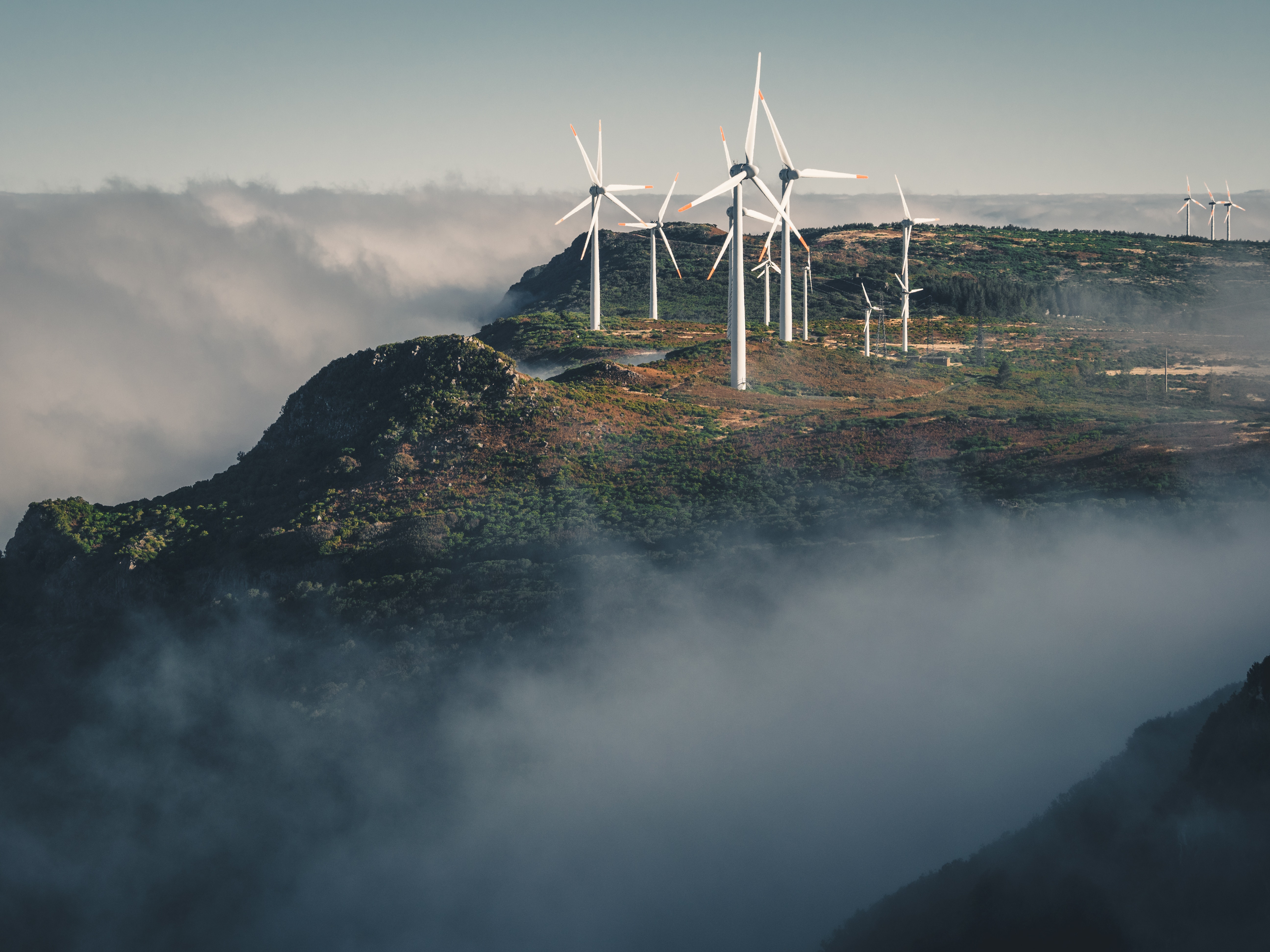 sustainablesolutions